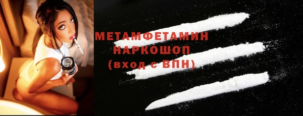 прущие грибы Туринск