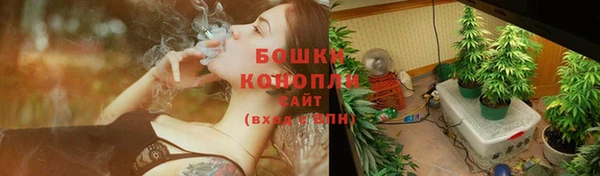apvp Дмитриев