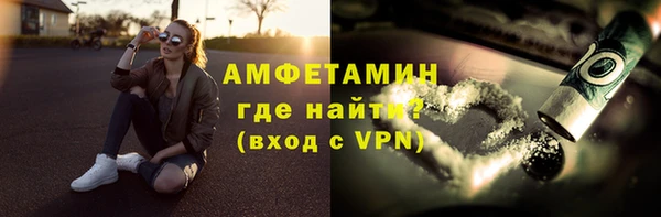 прущие грибы Туринск