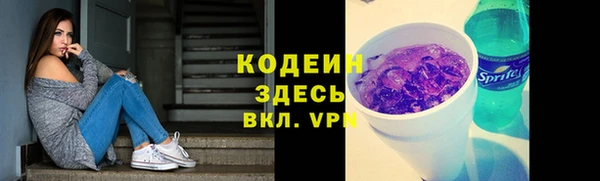 apvp Дмитриев