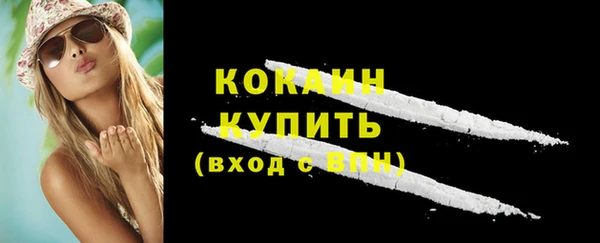 apvp Дмитриев