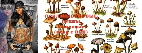 apvp Дмитриев