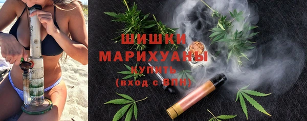 apvp Дмитриев