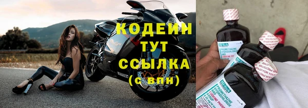 apvp Дмитриев